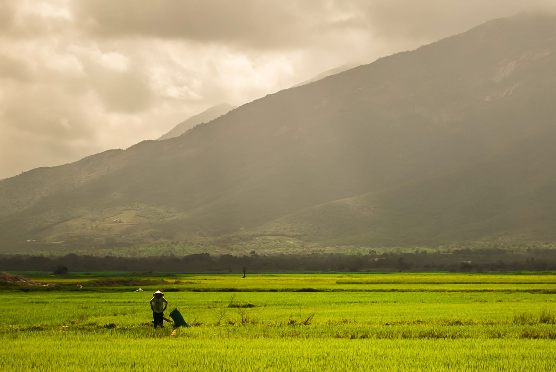 /fm/Files//Pictures/Ido Uploads(1)/Asia/Vietnam/Nha Trang/Nha Trang - Farmer Mountaing Rice Picking - NS - SS.jpg